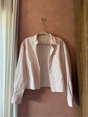 JW Anderson x Uniqlo Pink Stripe Cropped Button-Down Shirt